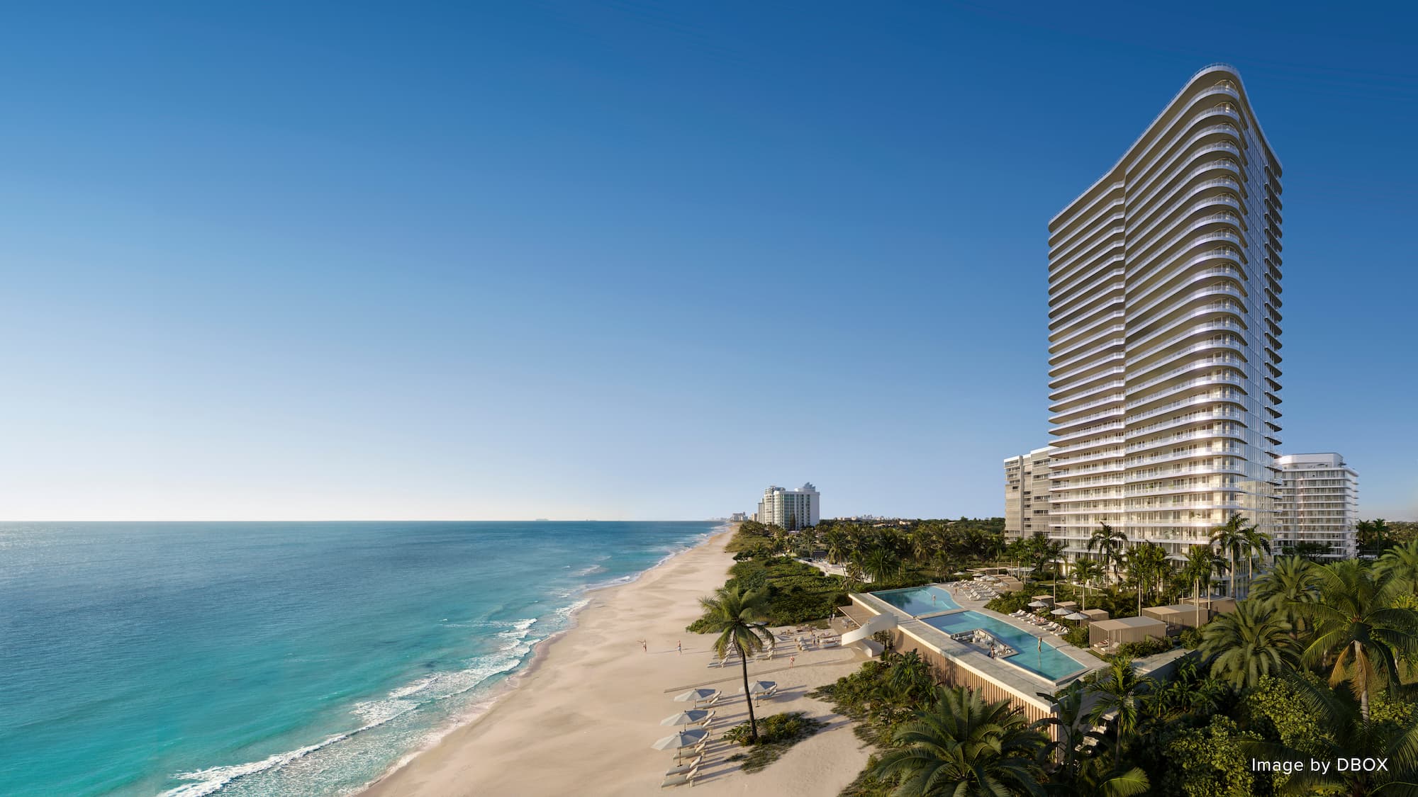 Gallery image 6